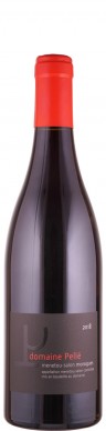 Domaine Pellé Menetou-Salon rouge Morogues 2018