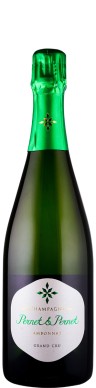 Champagne Pernet & Pernet Champagne brut nature Ambonnay 2021 Biowein - FR-BIO-01