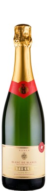 Weingut Stiegler Blanc de Blancs extra brut Traditionelle Flaschengärung 2019