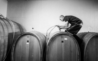 Weingut Gies-Düppel Weingut Gies-Düppel