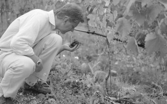 Weingut Manincor Weingut Manincor