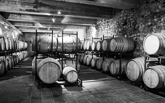 Weingut Celler de Capcanes Weingut Celler de Capcanes