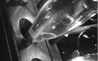 Weingut Agrapart & Fils Weingut Agrapart & Fils