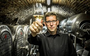Weingut Tesch Weingut Tesch