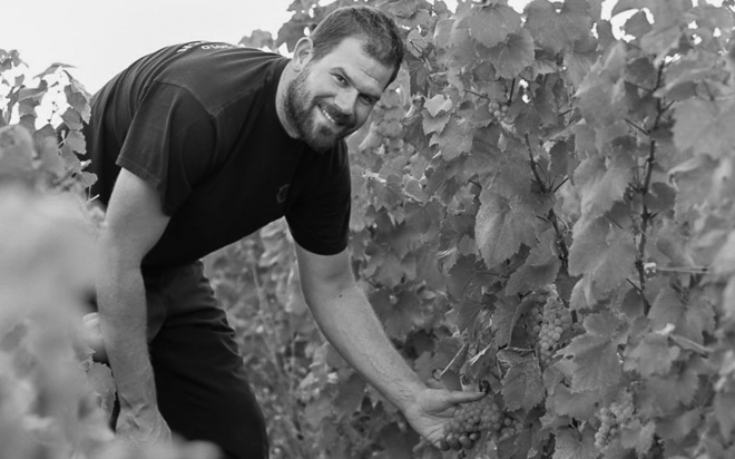 Weingut Hénin, Julien