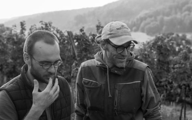 Weingut Enderle & Moll