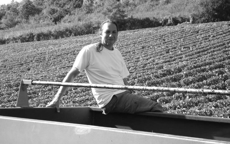 Weingut Goulley, Philippe