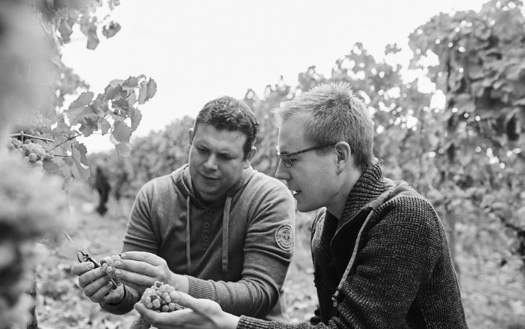Weingut Braunewell