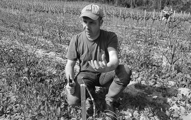 Weingut Domaine Jean-Yves Millaire