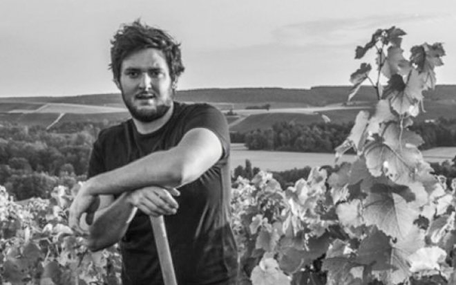 Weingut Brocard, Pierre