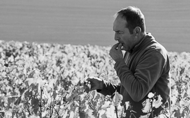 Weingut Elemart Robion