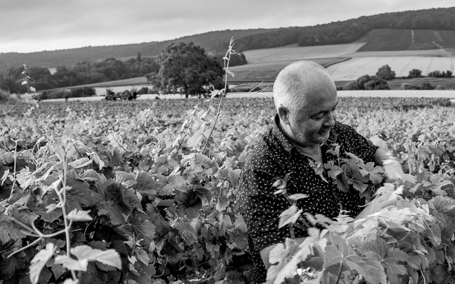 Weingut Taillet, Éric