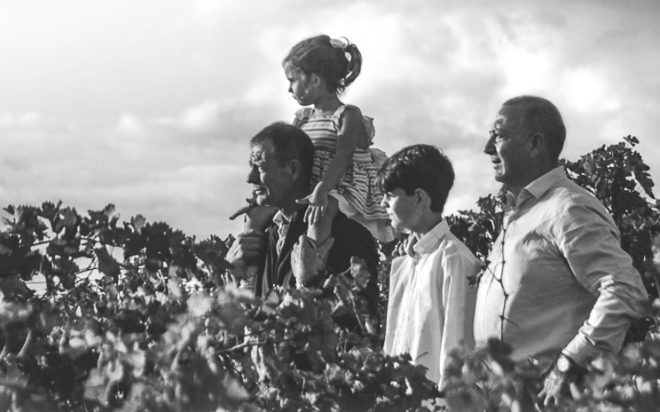 Weingut Bodegas Dominio de Berzal