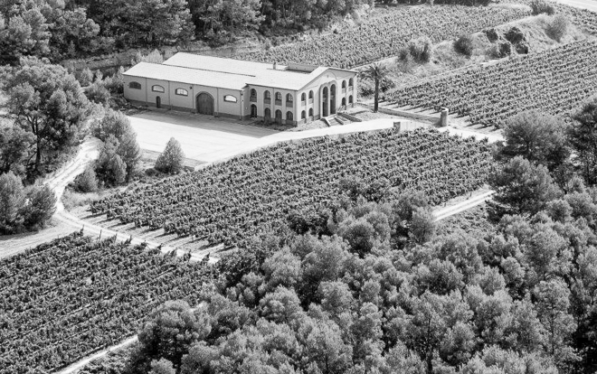 Weingut Pere Mata