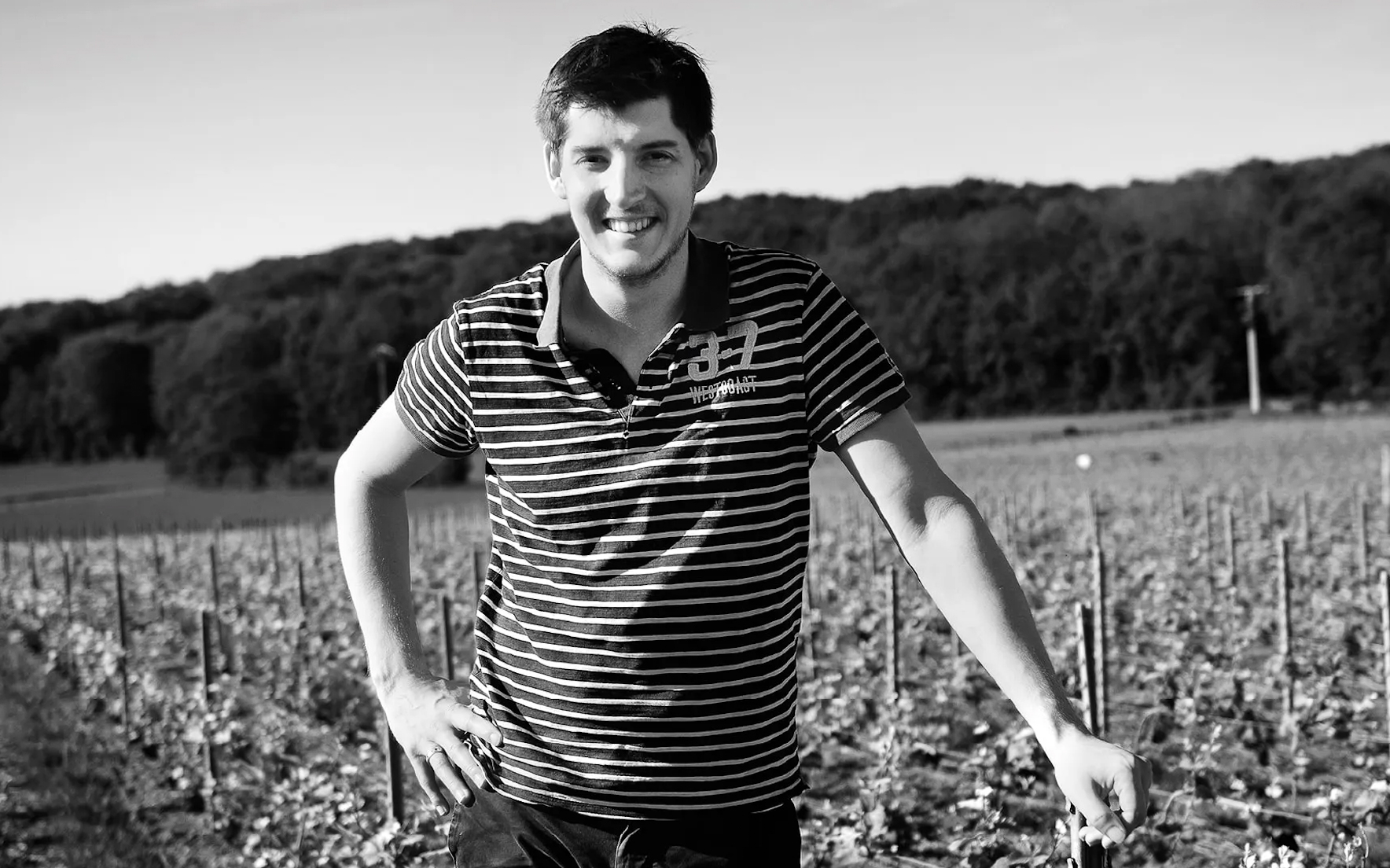 Weingut Cuillier, Vincent