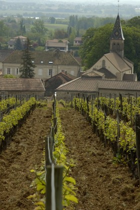 Weingut Domaine Sainte Barbe - Jean-Marie Chaland