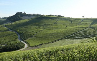 Weingut Burlotto, Commendatore G. B.