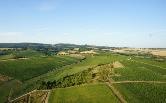 Weingut Pellé