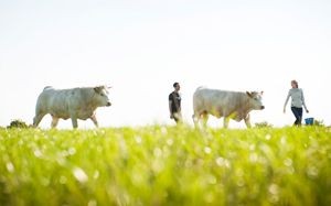 Weingut Geyerhof, Fam. Maier