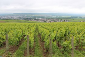 Weingut Brunot, Guy Weingut Brunot, Guy