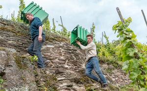 Weingut Melsheimer