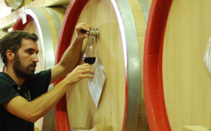 Weingut S.A. Le Calendre