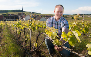 Weingut Perseval, Thomas Weingut Perseval, Thomas