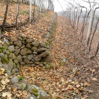 Weingut Le Battistelle Weingut Le Battistelle