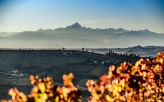 Weingut Rizzi