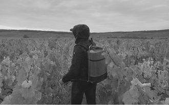 Weingut Domaine Vincey