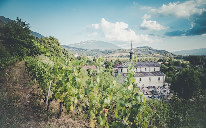 Weingut Lucey Weingut Lucey