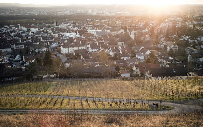 Weingut Schneider