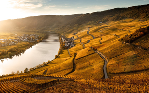 Weingut Schloss Lieser