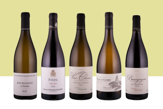 Neu im Programm Neu im Programm